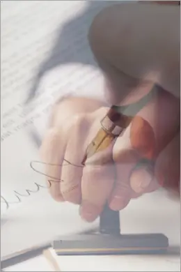 WISE Issue Authority Services